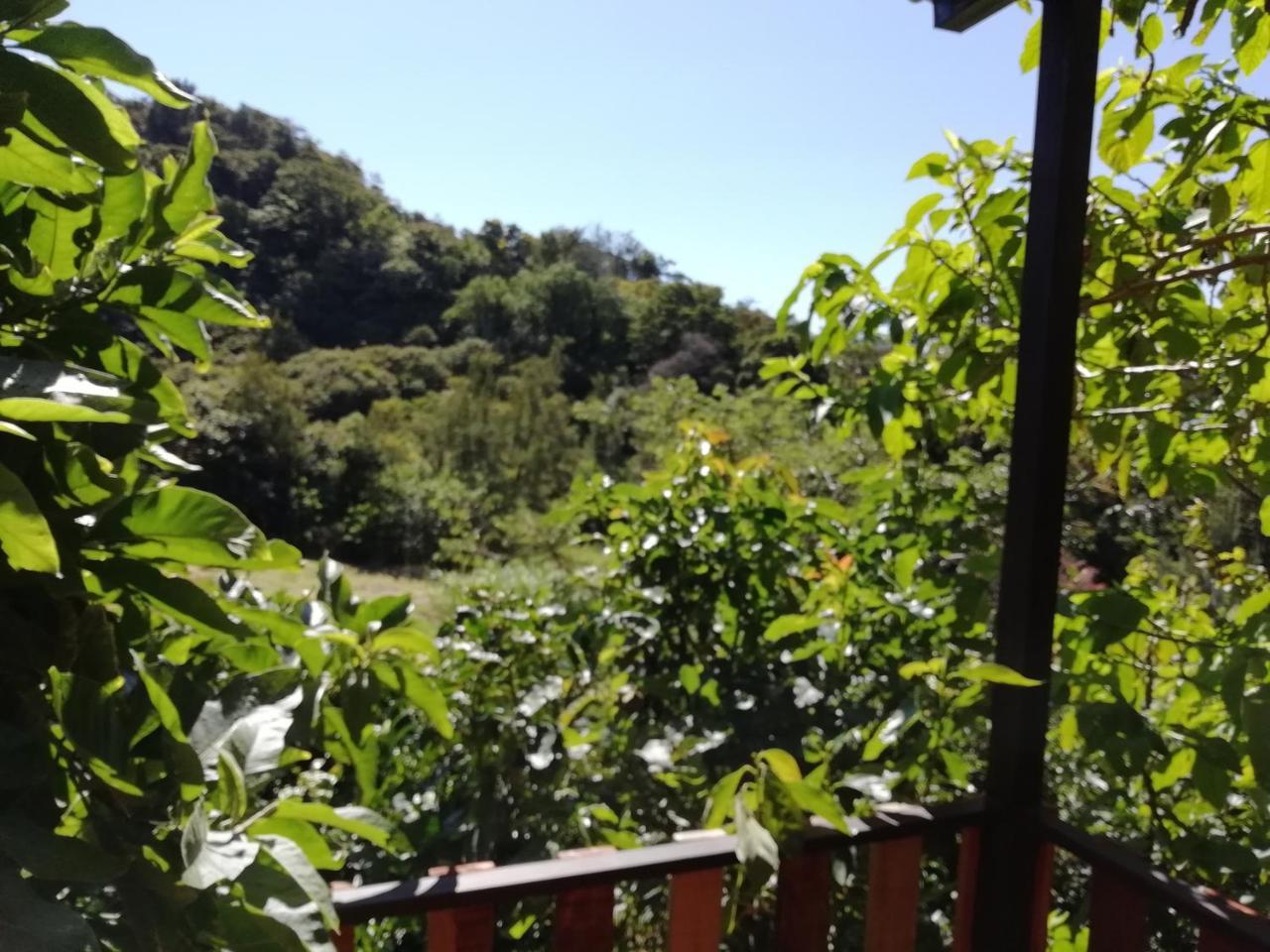 La Guayaba Монте-Верде Экстерьер фото